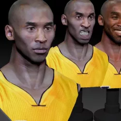 Kobe Bryant 3 Textured 3D Print Busts