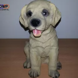 Labrador Puppy (Dog Statue 3D Scan)