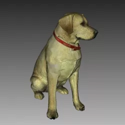 Labrador Sculpture (Dog Statue Color 3D Scan)