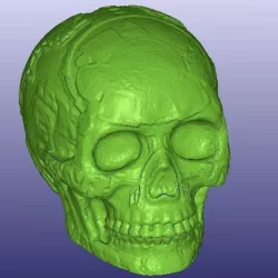 Mayan Skull 3D Scan (Hollow)