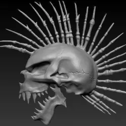 Mohawk Skull