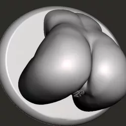 Nice Ass #04 - 3D Print STL - OBJ Files