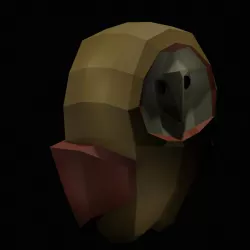 Owl: Barn Owl