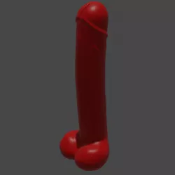 Penis