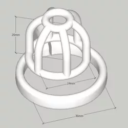 Penis cage