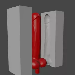 Penis molding tool