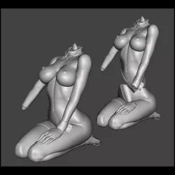 PLAYBOY STYLE BUNNY GIRL PG and ADULT VERSION