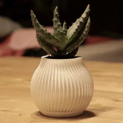 Pot