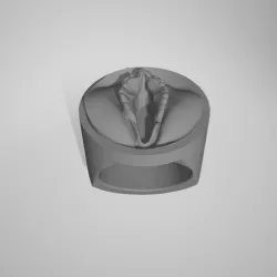 Pussy Ring