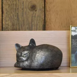 Rainbow Bridge Cat Urn Container