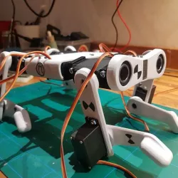 Robotic Dog