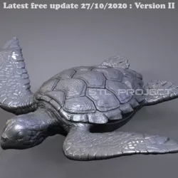 Sea Turtle