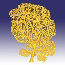 Seafan coral