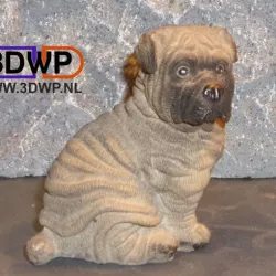 Shar Pei Puppy Sculpture (Dog Statue 3D Scan)
