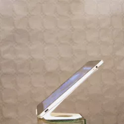 Shelf support