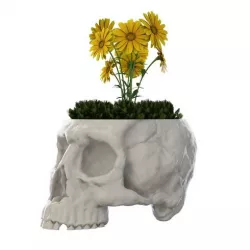 Skull Vase