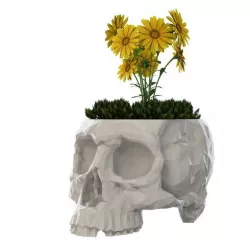 Skull Vase