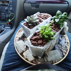 Special flower pot