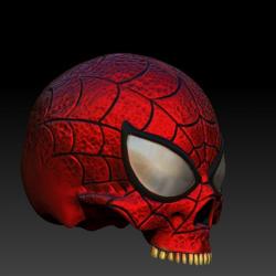 skull spider man 3d models 【 STLFinder