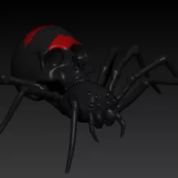 spider skull