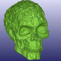 Spook Skull 3D Scan (Hollow)