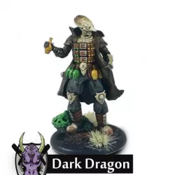 The Alchemist (DND, Warhammer, Kingdom Death, Pathfinder, Rpg, Mini)