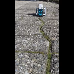 the walking robot