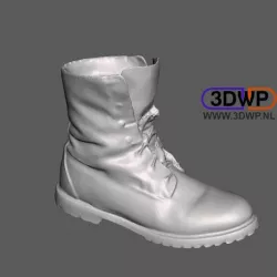 Timberland Shoe Scan