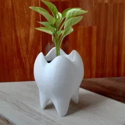 TOOTH POT TOOTH VASE