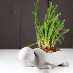 Turtle Planter