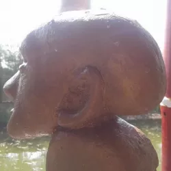 Vienna Scientists cover bust