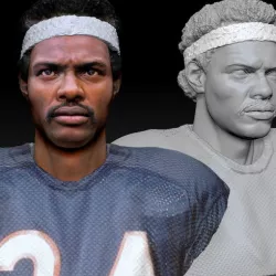 Walter Payton NFL Star textured bust
