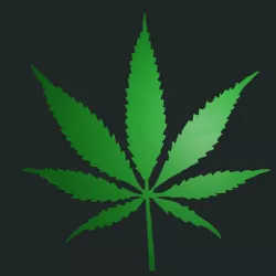 WEED