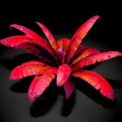 Alien Plant Leaves texture pack 1 Texture