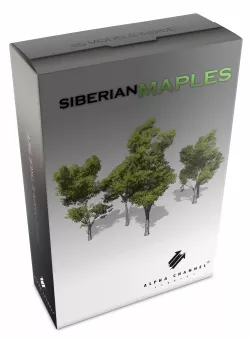 Alpha Channel Studios Siberian Maple Tree Set Low-poly  3D model