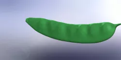 beans