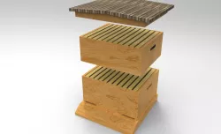Bee Hive