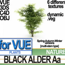 Black Alder Tree Aa vue veg dynamic 3D model