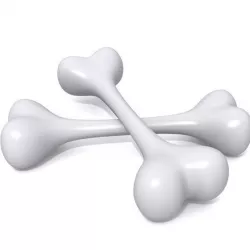 Bones Low-poly  3D model