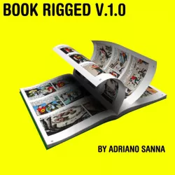 Book Rig for Maya ver 1 3D model