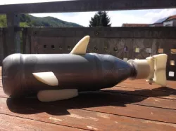 BottleFish