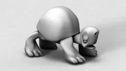 Box Turtle 3D model