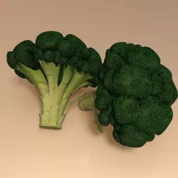 Broccoli 3D model