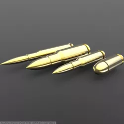 Bullets