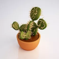 Cactus 3D model
