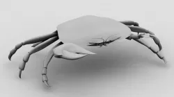 Crab 3D model