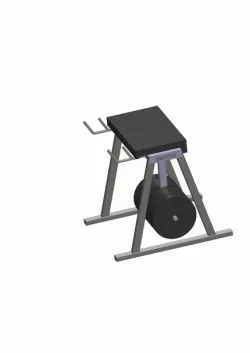 Crossfit Reverse Hyper