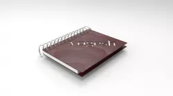 DIARY