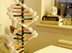 DNA Helix