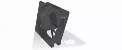 fan